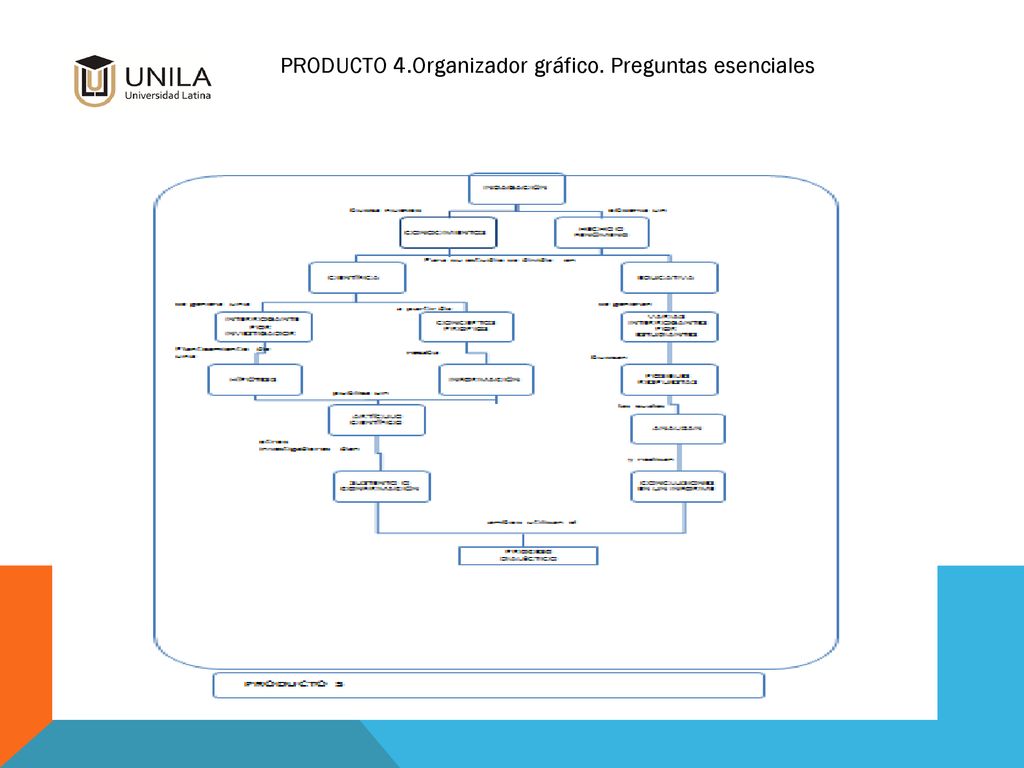 PRODUCTO 4.Organizador gráfico. Preguntas esenciales