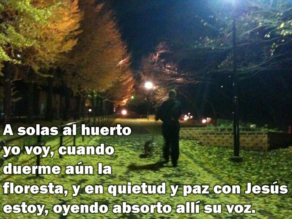 A solas al huerto yo voy, cuando duerme aún la floresta, y en quietud y paz con Jesús estoy, oyendo absorto allí su voz.