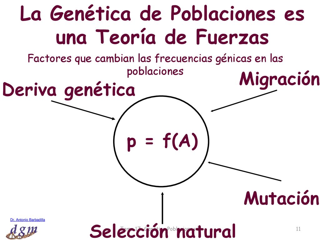 La Genética de Poblaciones es una Teoría de Fuerzas
