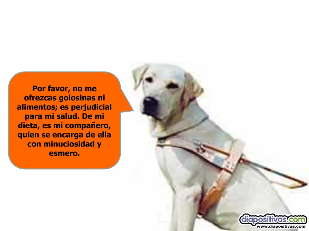 Por favor, no me ofrezcas golosinas ni alimentos; es perjudicial para mi salud.