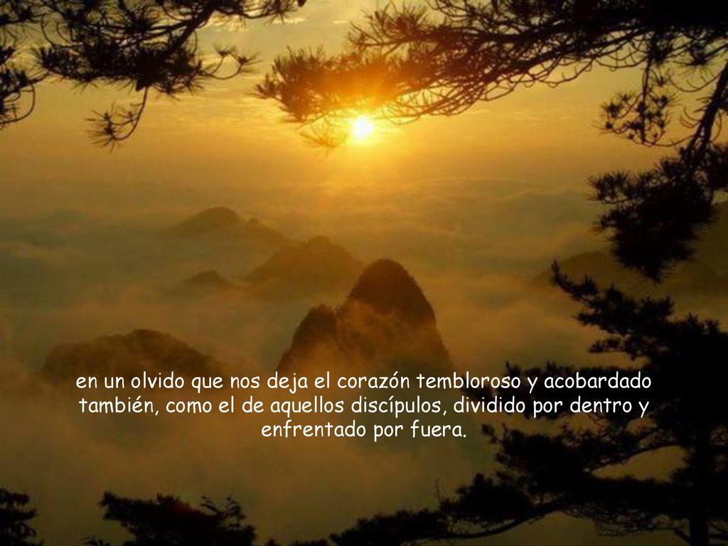 en un olvido que nos deja el corazón tembloroso y acobardado también, como el de aquellos discípulos, dividido por dentro y enfrentado por fuera.