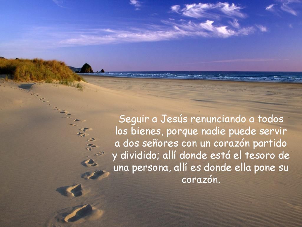 Seguir a Jesús renunciando a todos los bienes, porque nadie puede servir a dos señores con un corazón partido y dividido; allí donde está el tesoro de una persona, allí es donde ella pone su corazón.