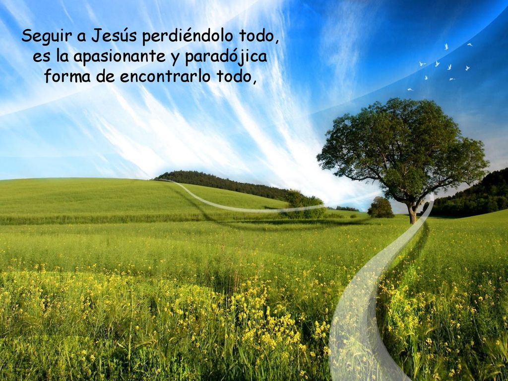 Seguir a Jesús perdiéndolo todo, es la apasionante y paradójica forma de encontrarlo todo,
