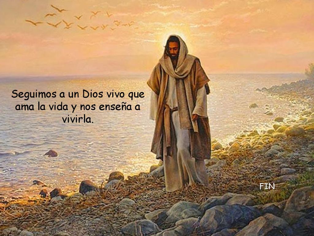 Seguimos a un Dios vivo que ama la vida y nos enseña a vivirla.