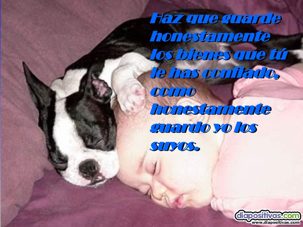 Haz que guarde honestamente los bienes que tú le has confiado, como honestamente guardo yo los suyos.