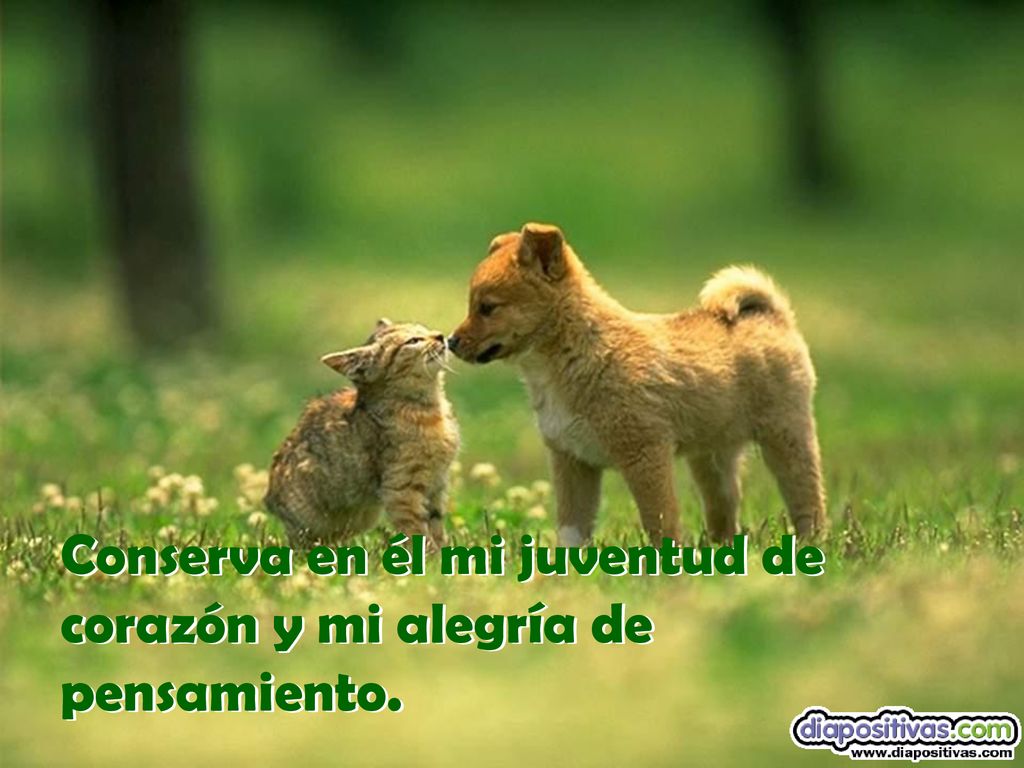 Conserva en él mi juventud de corazón y mi alegría de pensamiento.