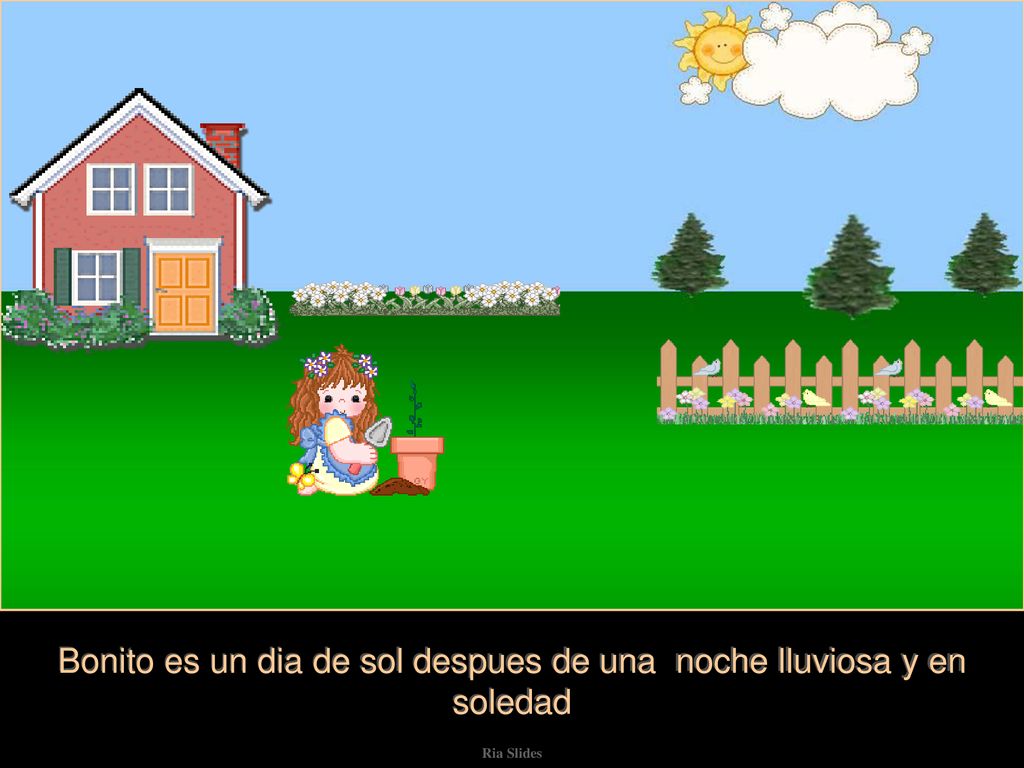 Bonito es un dia de sol despues de una noche lluviosa y en soledad
