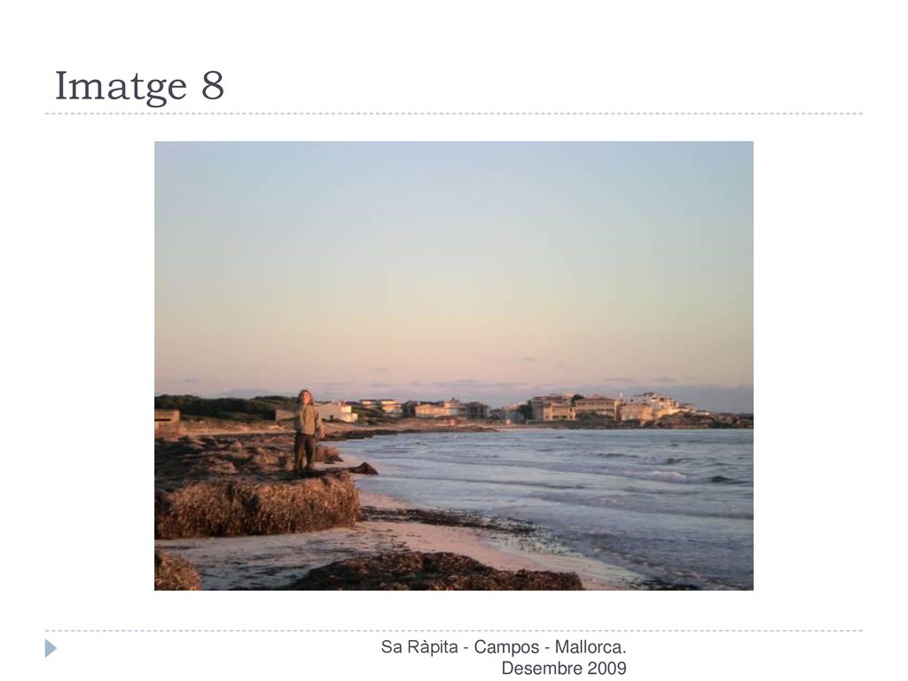 Imatge 8 Sa Ràpita - Campos - Mallorca. Desembre 2009