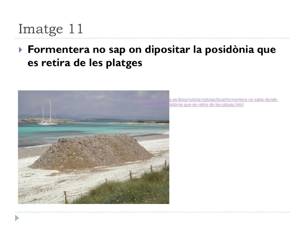 Imatge 11 Formentera no sap on dipositar la posidònia que es retira de les platges.