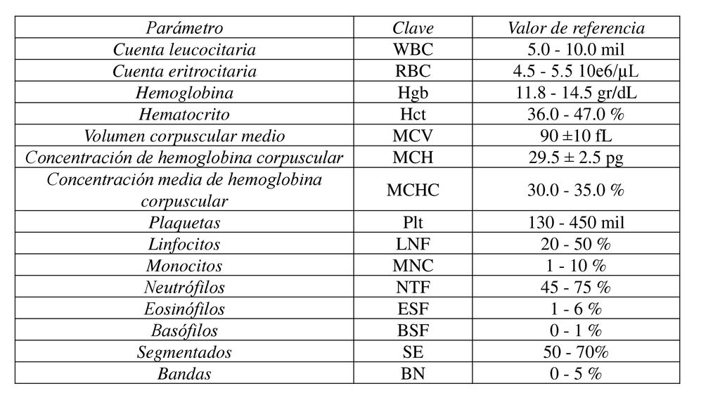 Volumen corpuscular medio MCV 90 ±10 fL