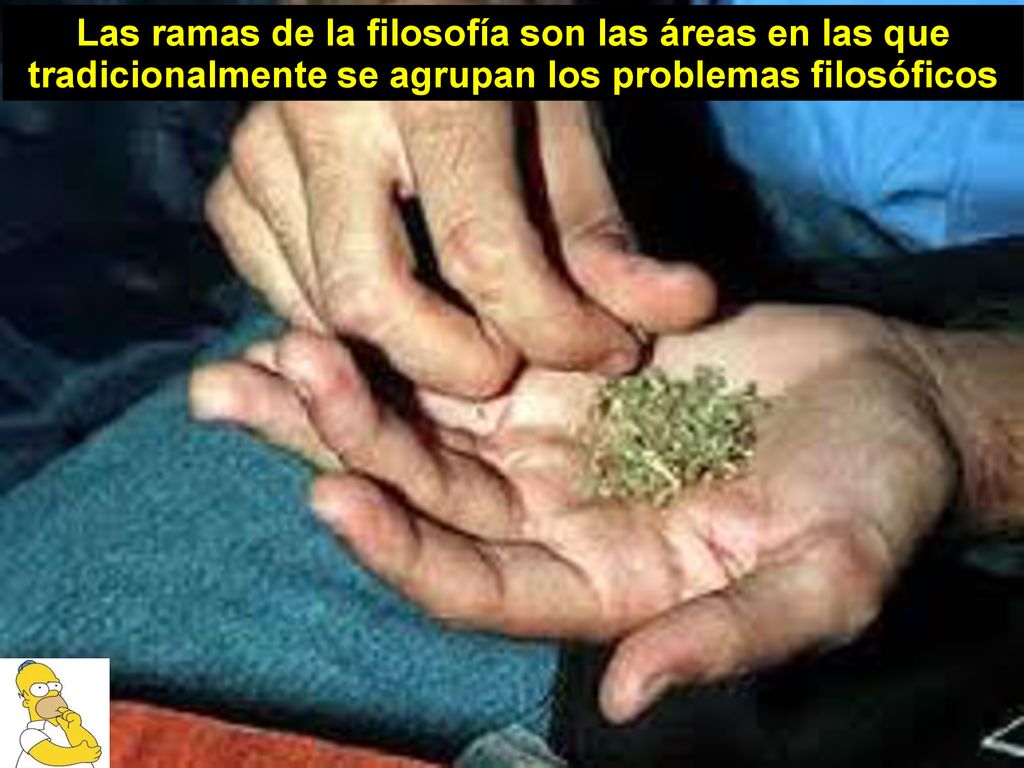 Las ramas de la filosofía son las áreas en las que tradicionalmente se agrupan los problemas filosóficos