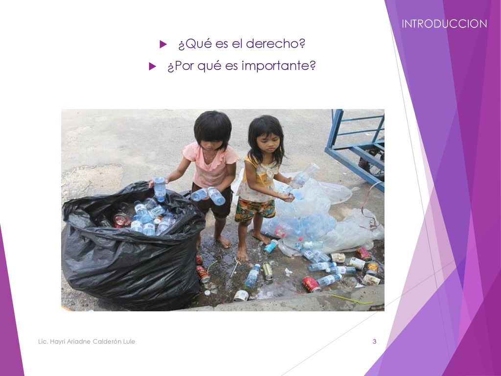 ¿Qué es el derecho ¿Por qué es importante INTRODUCCION