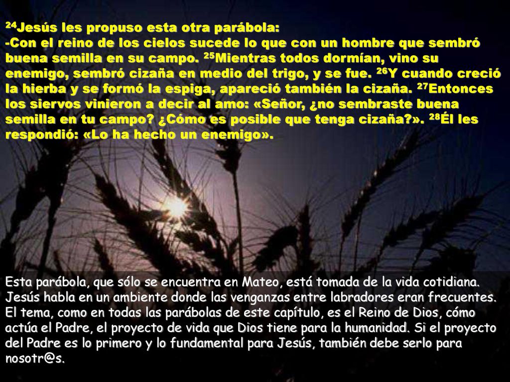 24Jesús les propuso esta otra parábola: -Con el reino de los cielos sucede lo que con un hombre que sembró buena semilla en su campo. 25Mientras todos dormían, vino su enemigo, sembró cizaña en medio del trigo, y se fue. 26Y cuando creció la hierba y se formó la espiga, apareció también la cizaña. 27Entonces los siervos vinieron a decir al amo: «Señor, ¿no sembraste buena semilla en tu campo ¿Cómo es posible que tenga cizaña ». 28Él les respondió: «Lo ha hecho un enemigo».