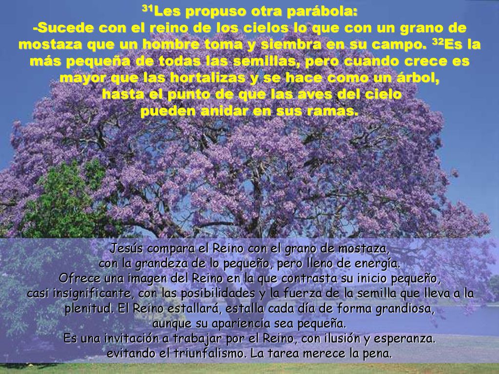 31Les propuso otra parábola: -Sucede con el reino de los cielos lo que con un grano de mostaza que un hombre toma y siembra en su campo. 32Es la más pequeña de todas las semillas, pero cuando crece es mayor que las hortalizas y se hace como un árbol, hasta el punto de que las aves del cielo pueden anidar en sus ramas.
