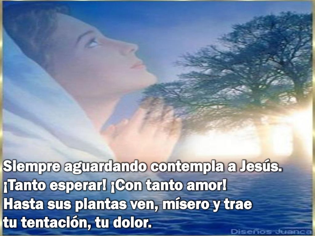 Siempre aguardando contempla a Jesús. ¡Tanto esperar. ¡Con tanto amor