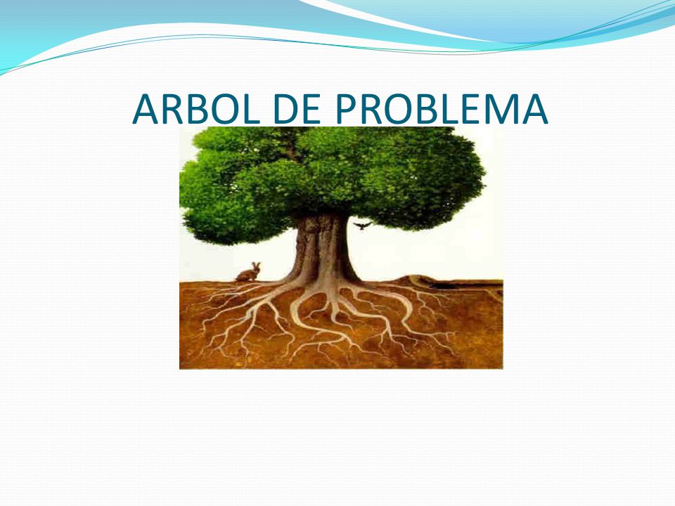 ARBOL DE PROBLEMA