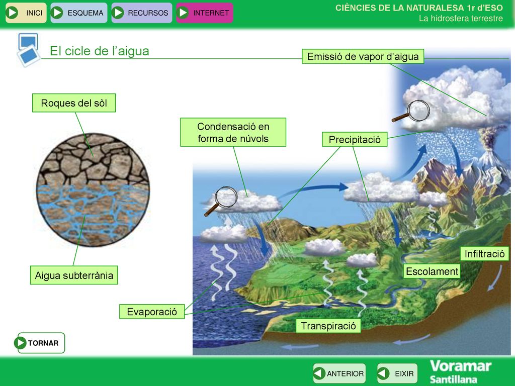 El cicle de l’aigua Emissió de vapor d’aigua Roques del sòl
