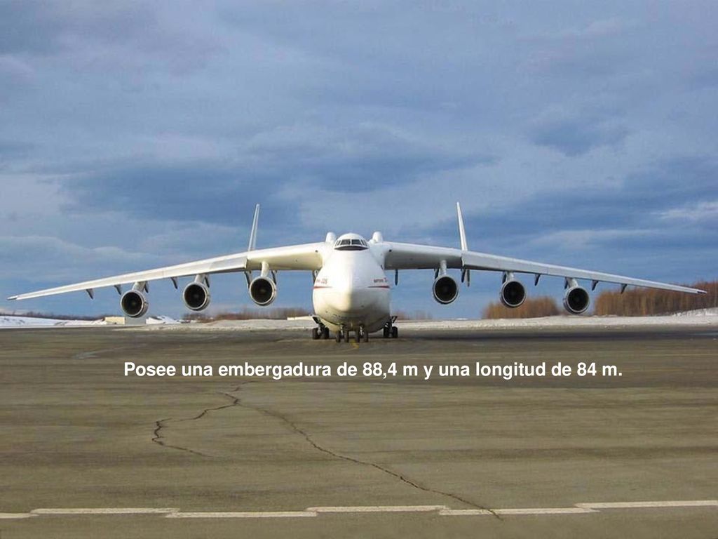 Posee una embergadura de 88,4 m y una longitud de 84 m.