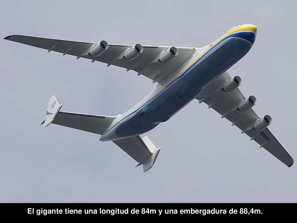 El gigante tiene una longitud de 84m y una embergadura de 88,4m.