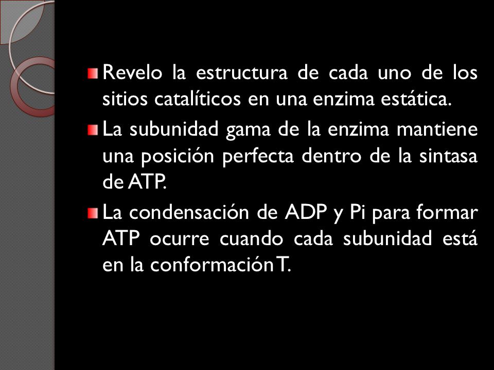 Revelo la estructura de cada uno de los sitios catalíticos en una enzima estática.
