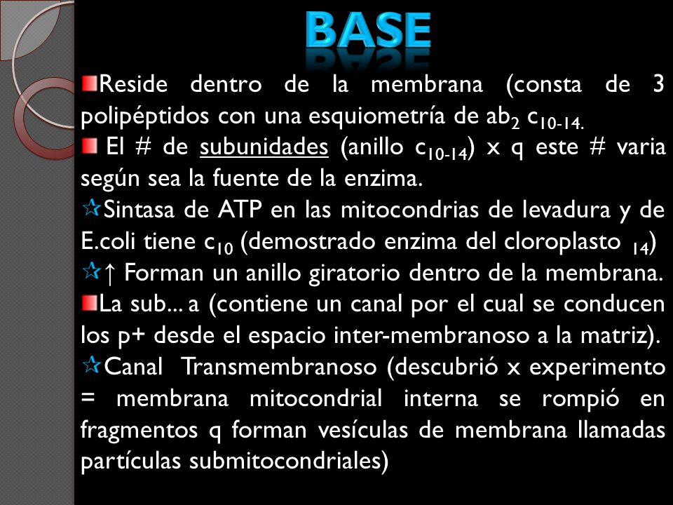 Base Reside dentro de la membrana (consta de 3 polipéptidos con una esquiometría de ab2 c