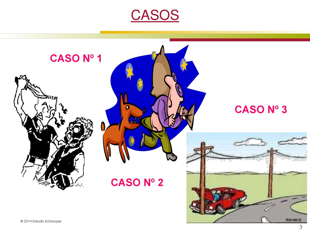 CASOS CASO Nº 1 CASO Nº 3 CASO Nº 2
