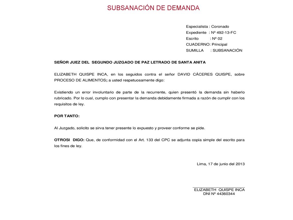 SUBSANACIÓN DE DEMANDA