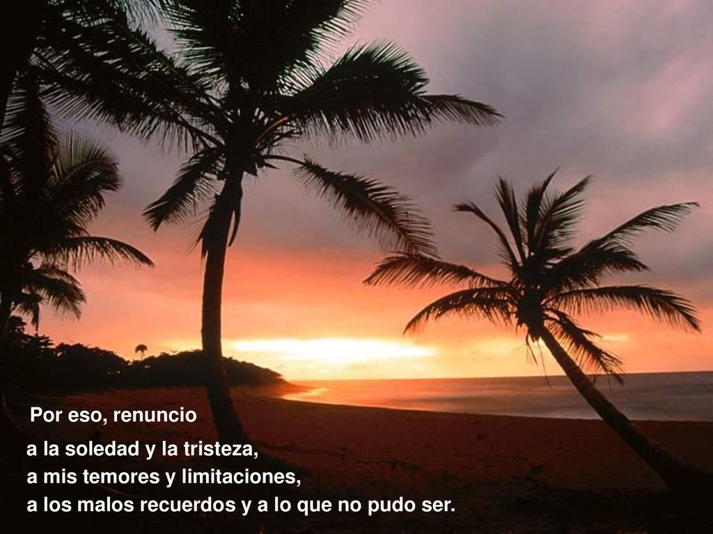 Por eso, renuncio a la soledad y la tristeza, a mis temores y limitaciones, a los malos recuerdos y a lo que no pudo ser.