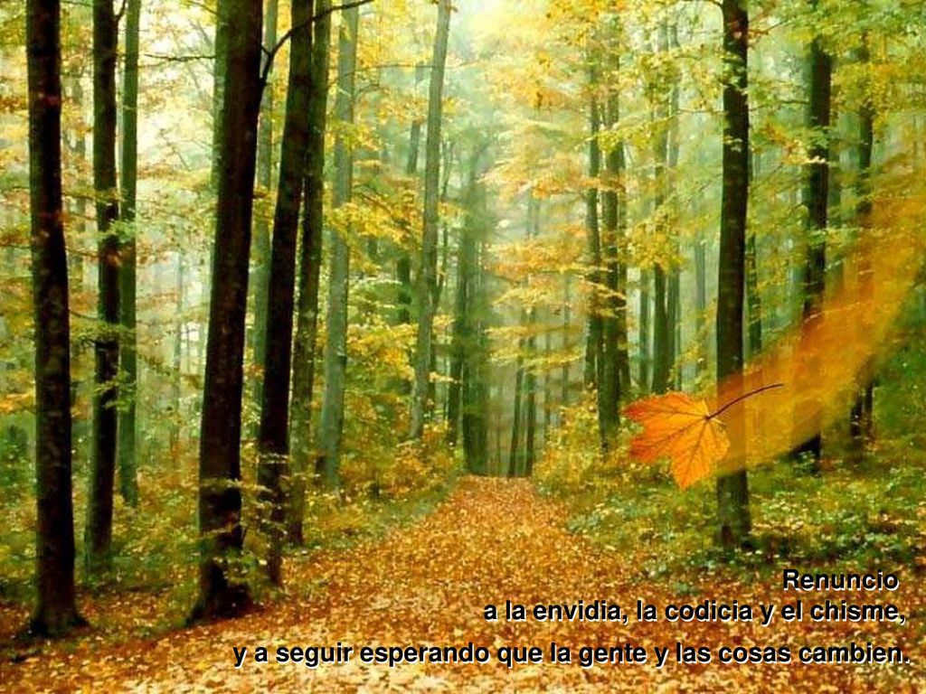 Renuncio a la envidia, la codicia y el chisme, y a seguir esperando que la gente y las cosas cambien.