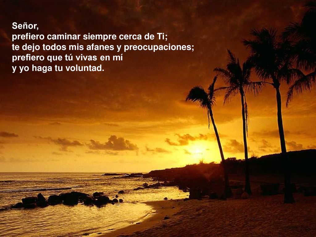 Señor, prefiero caminar siempre cerca de Ti; te dejo todos mis afanes y preocupaciones; prefiero que tú vivas en mí.