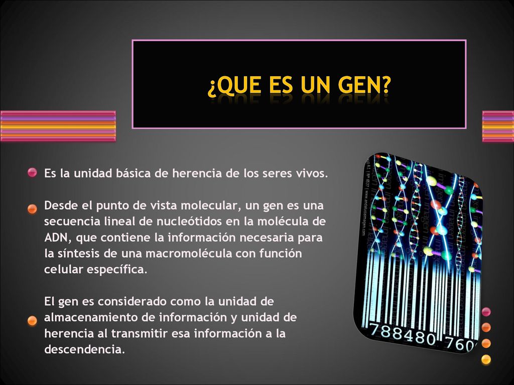 ¿QUE ES UN GEN Es la unidad básica de herencia de los seres vivos.