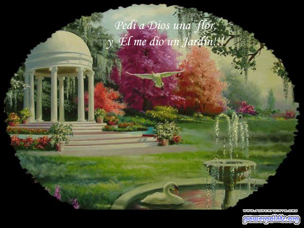 Pedí a Dios una flor, y Él me dio un Jardín!!!