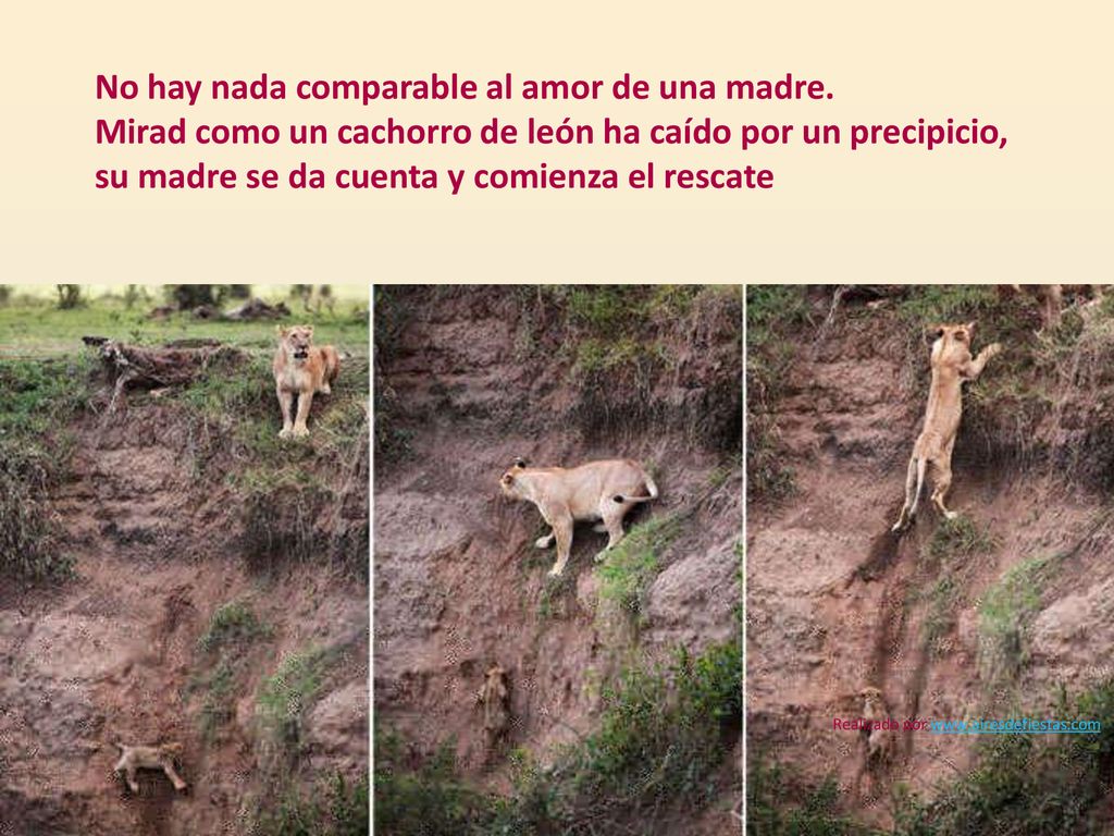 No hay nada comparable al amor de una madre.
