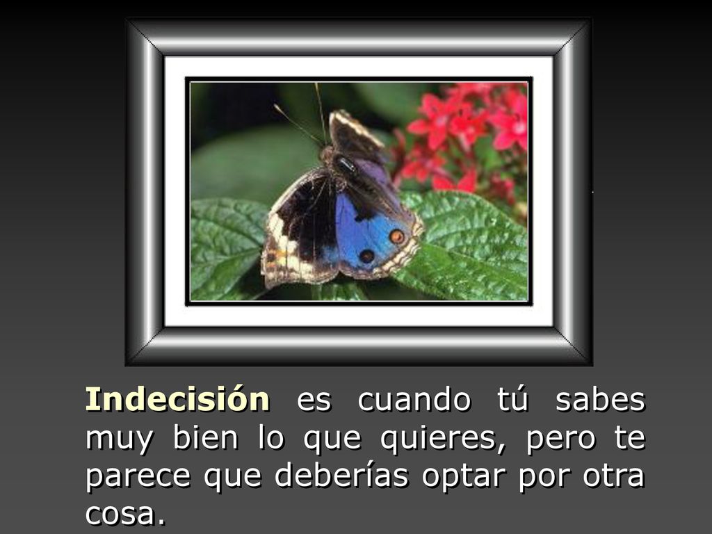 Indecisión es cuando tú sabes muy bien lo que quieres, pero te parece que deberías optar por otra cosa.