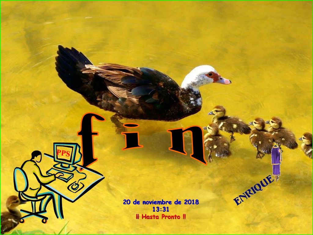 f i n PPS 20 de noviembre de :31 ¡¡ Hasta Pronto !!