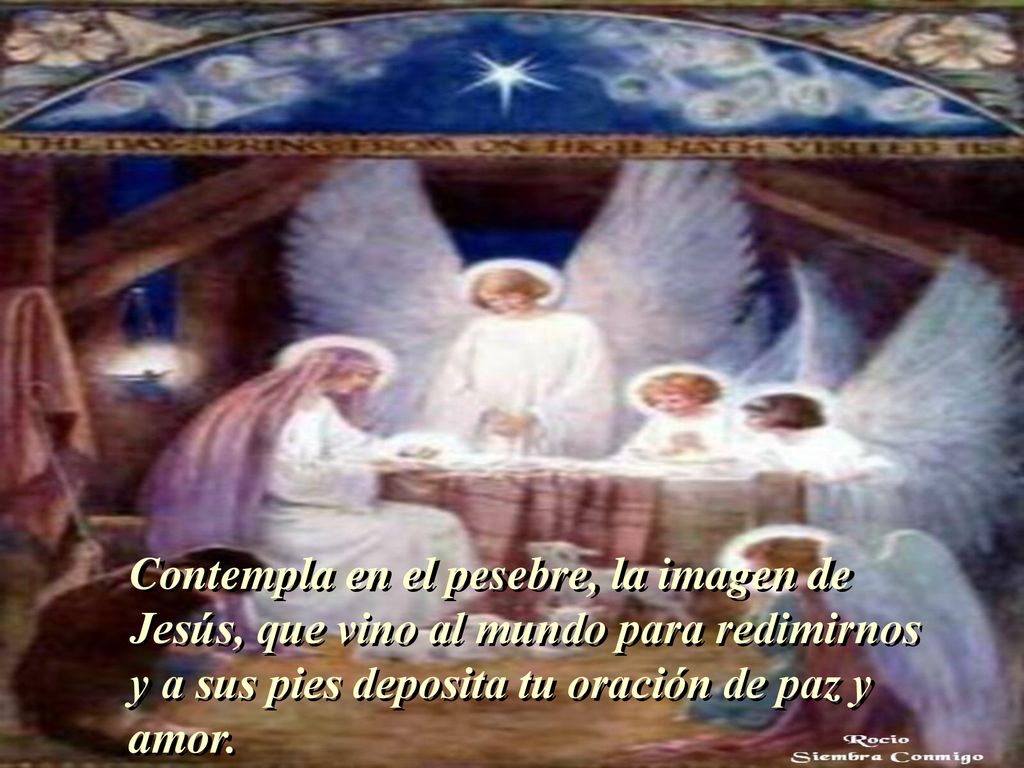 Contempla en el pesebre, la imagen de Jesús, que vino al mundo para redimirnos y a sus pies deposita tu oración de paz y amor.