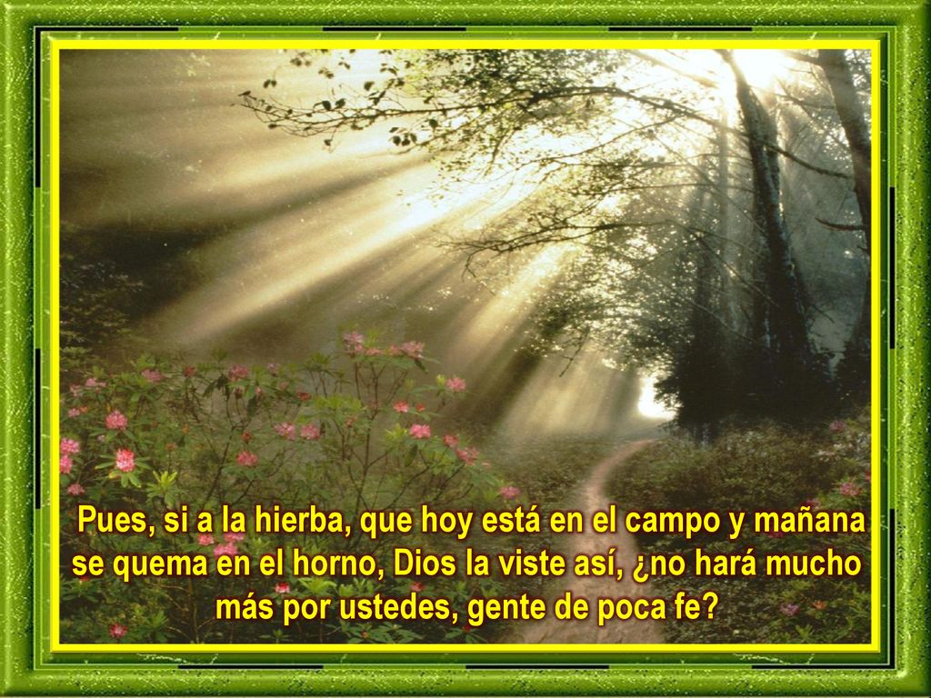 Pues, si a la hierba, que hoy está en el campo y mañana se quema en el horno, Dios la viste así, ¿no hará mucho más por ustedes, gente de poca fe