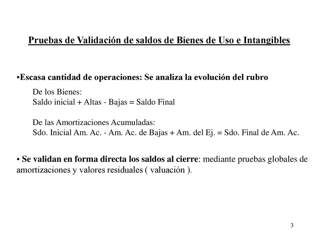 Pruebas de Validación de saldos de Bienes de Uso e Intangibles