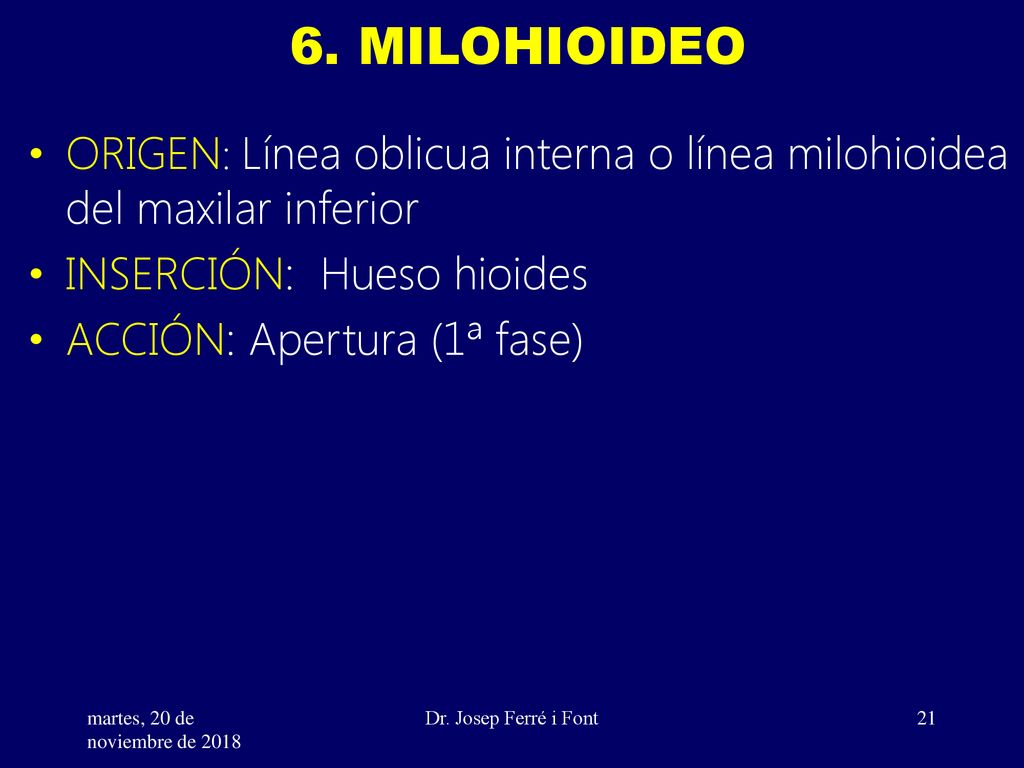 6. MILOHIOIDEO ORIGEN: Línea oblicua interna o línea milohioidea del maxilar inferior. INSERCIÓN: Hueso hioides.