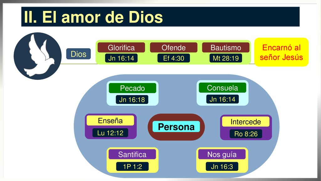 II. El amor de Dios Persona Encarnó al señor Jesús Dios Glorifica