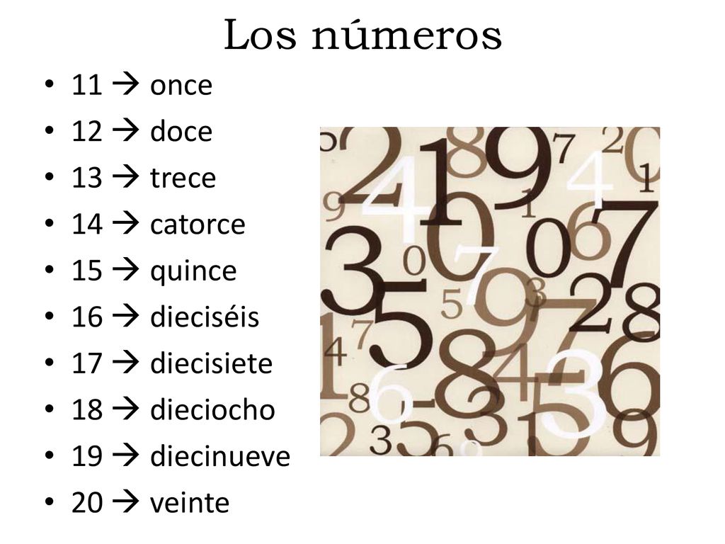 Los números 11  once 12  doce 13  trece 14  catorce 15  quince