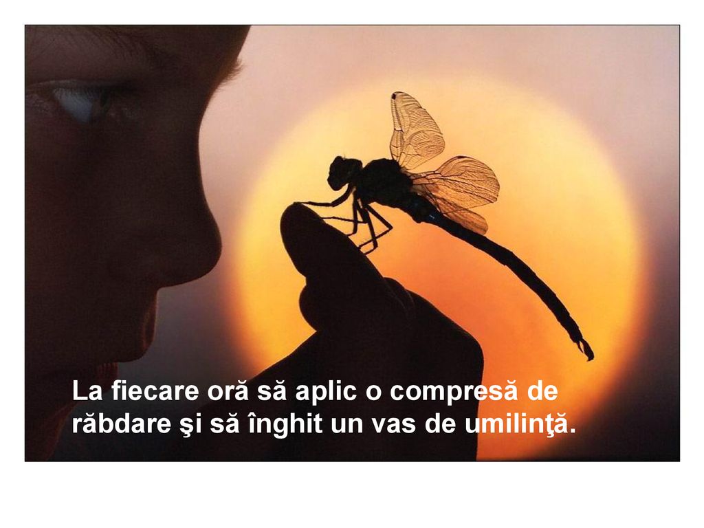 La fiecare oră să aplic o compresă de răbdare şi să înghit un vas de umilinţă.