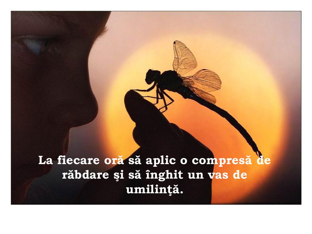 La fiecare oră să aplic o compresă de răbdare şi să înghit un vas de umilinţă.