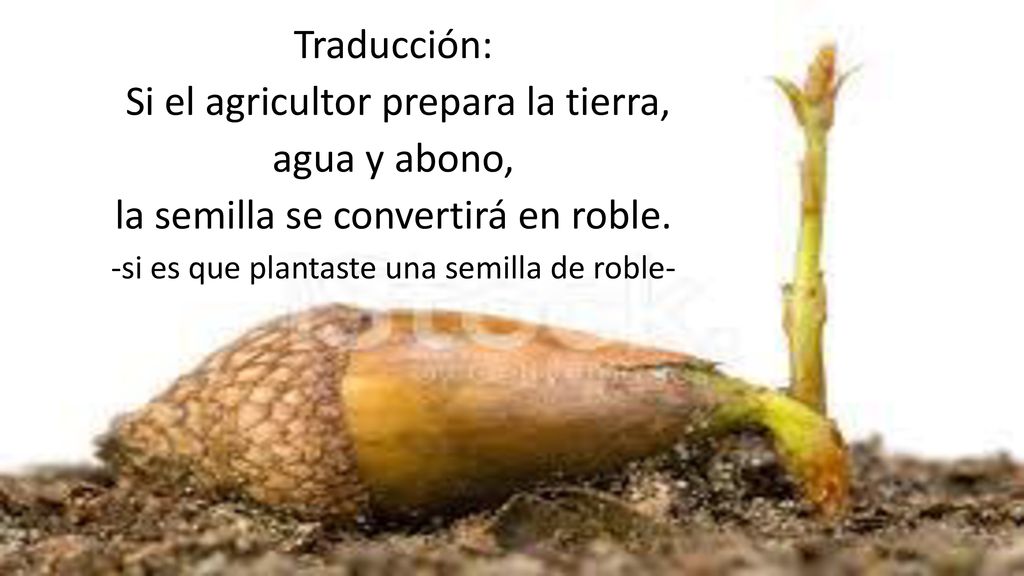 Si el agricultor prepara la tierra, agua y abono,