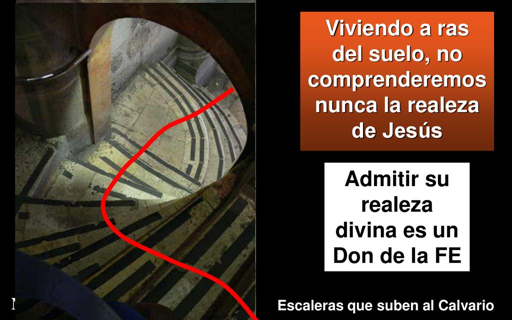 Viviendo a ras del suelo, no comprenderemos nunca la realeza de Jesús