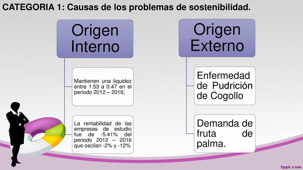 CATEGORIA 1: Causas de los problemas de sostenibilidad.