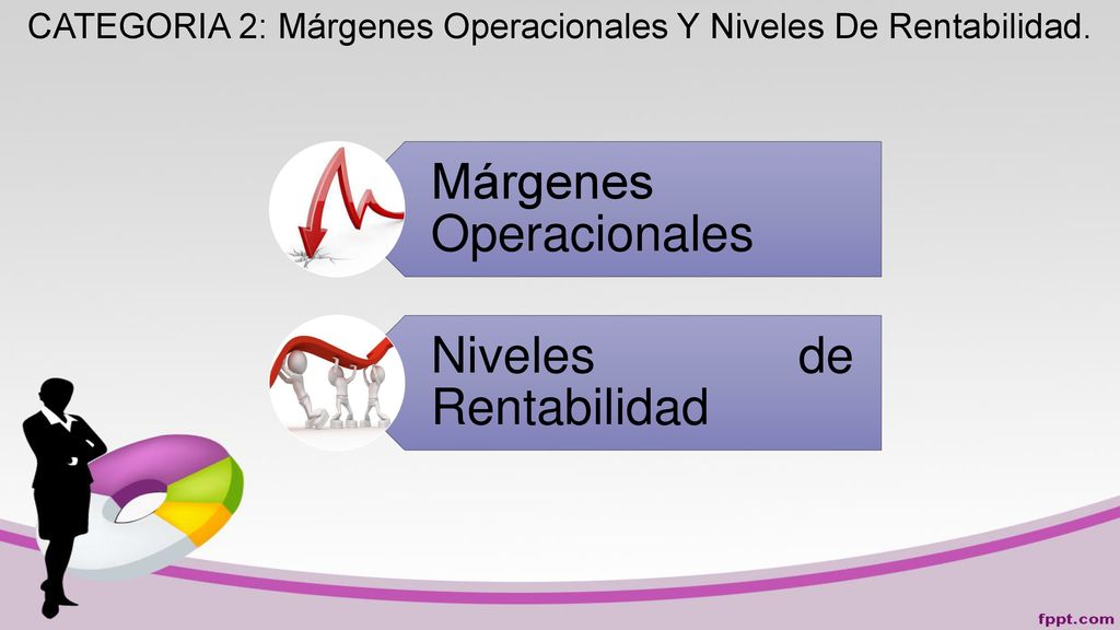 CATEGORIA 2: Márgenes Operacionales Y Niveles De Rentabilidad.