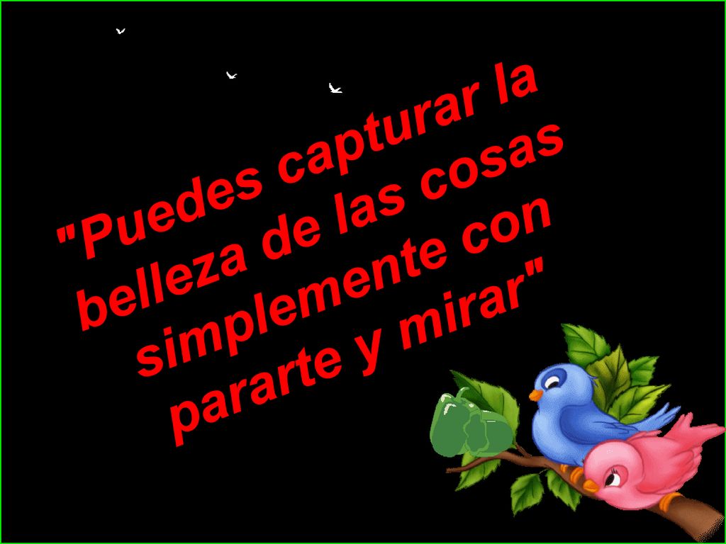Puedes capturar la belleza de las cosas simplemente con pararte y mirar
