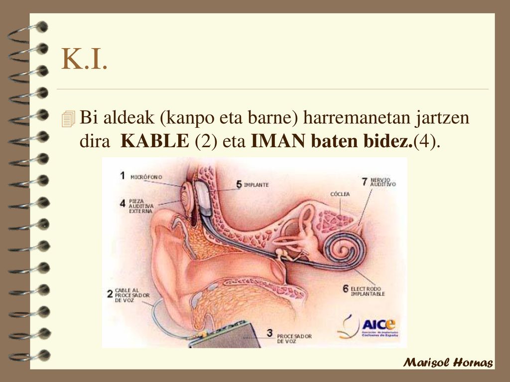 K.I. Bi aldeak (kanpo eta barne) harremanetan jartzen dira KABLE (2) eta IMAN baten bidez.(4).