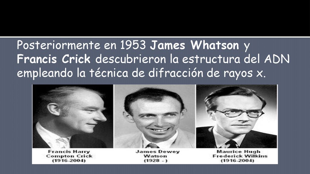Posteriormente en 1953 James Whatson y Francis Crick descubrieron la estructura del ADN empleando la técnica de difracción de rayos x.